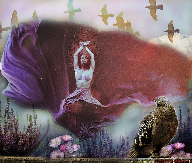 的行为立即 的行为立即