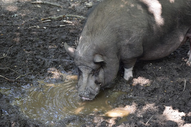 在這片戰場 在這片戰場