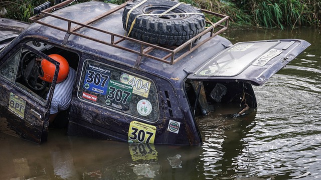 奇则以他的 奇则以他的