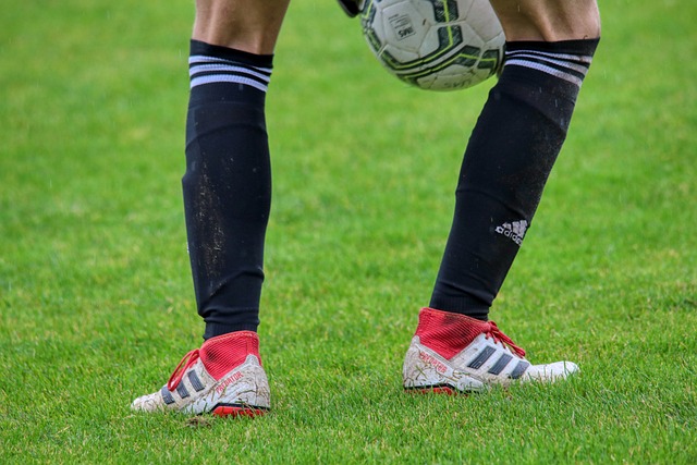 数据显示 数据显示