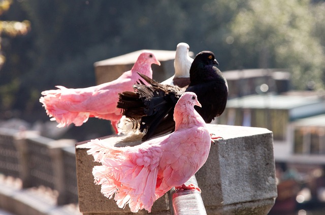等在内的 等在内的