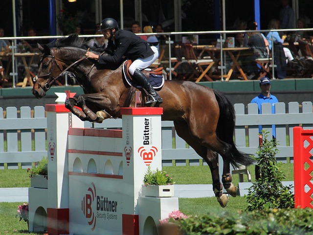 更是对未来 更是对未来